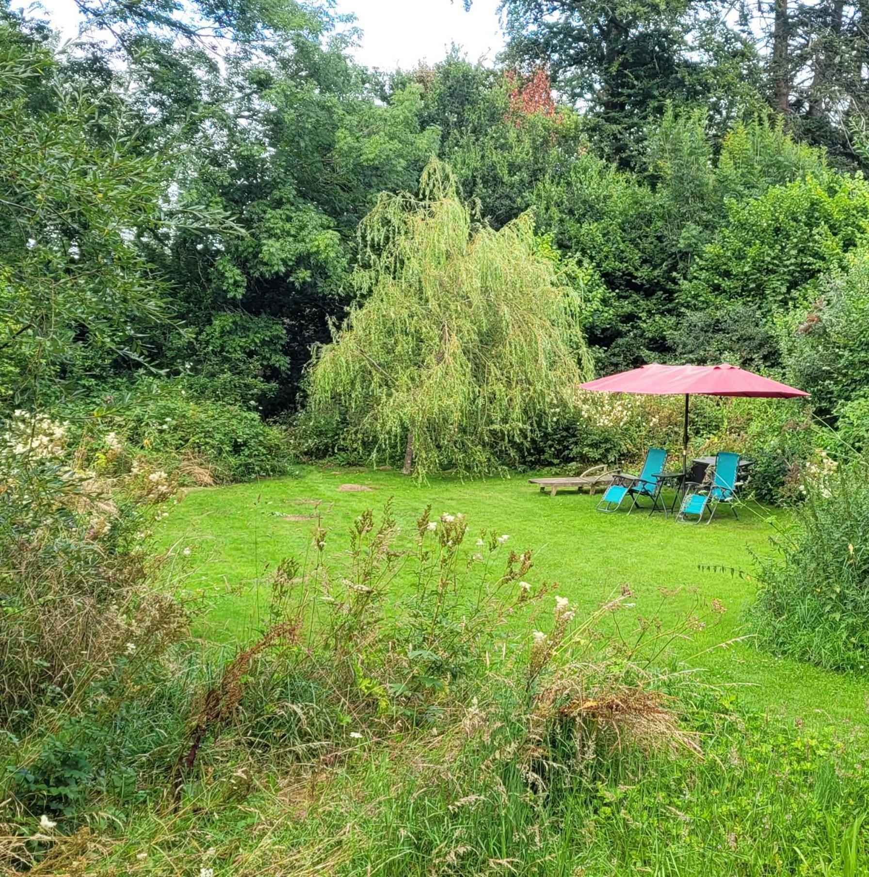Kingsley Cottage - Beautiful Riverside Setting Beaworthy Kültér fotó